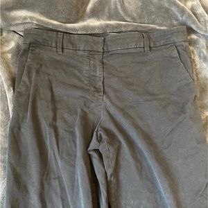 ann taylor devin fit pants